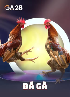 Hải Tặc Tỷ Lộc